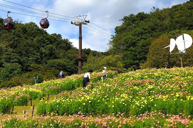 1-Day Kobe Highlights Tour including Sake Tasting - What is included, and what you still need to plan
