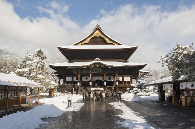 1-Day Winter Tour From Nozawa Onsen: Snow Monkeys, Zenko-ji Temple & Sake - Why the snow monkeys are worth the cold walk