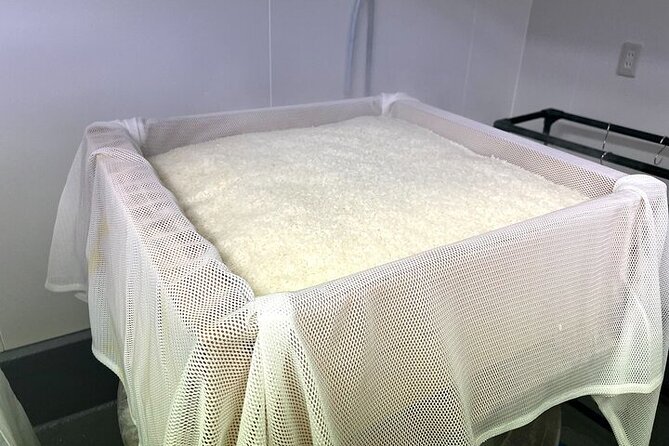 Cultural Sake Brewery Private Tour & Unlimited Tasting Near Tokyo - Who will enjoy this brewery visit most?