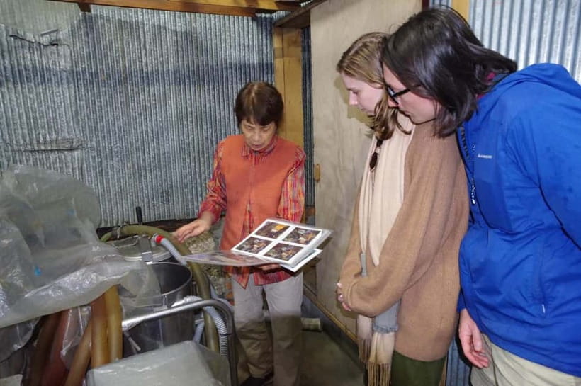 Explore Matsumoto: Castle, Sake & Taste of Local Life - Who should book this experience