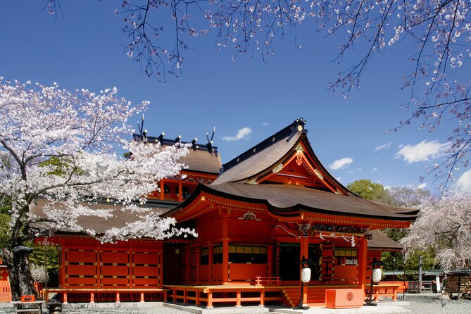 Feel Mt Fuji and Sake Tasting Private Tour from in Shizuoka - Seeing Fuji from inside the World Heritage Centre