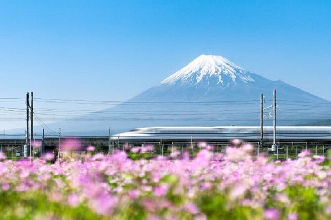 Feel Mt Fuji and Sake Tasting Private Tour from in Shizuoka - Tasting sake made with Fuji spring water