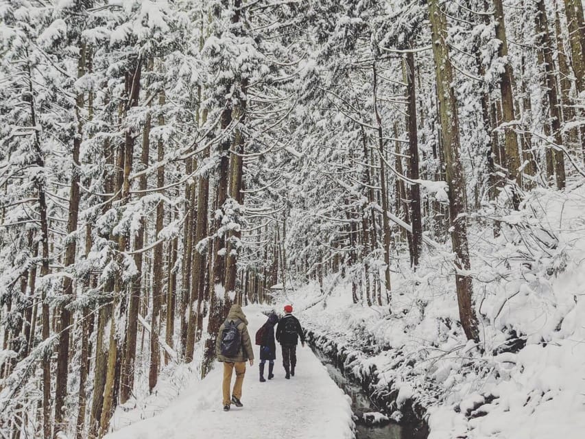 From Nozawa Onsen: Snow Monkeys and Zenko-ji Day Trip & Sake - Why this makes sense from Nozawa Onsen