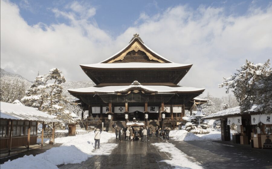From Nozawa Onsen: Snow Monkeys and Zenko-ji Day Trip & Sake - What makes the snow monkeys special
