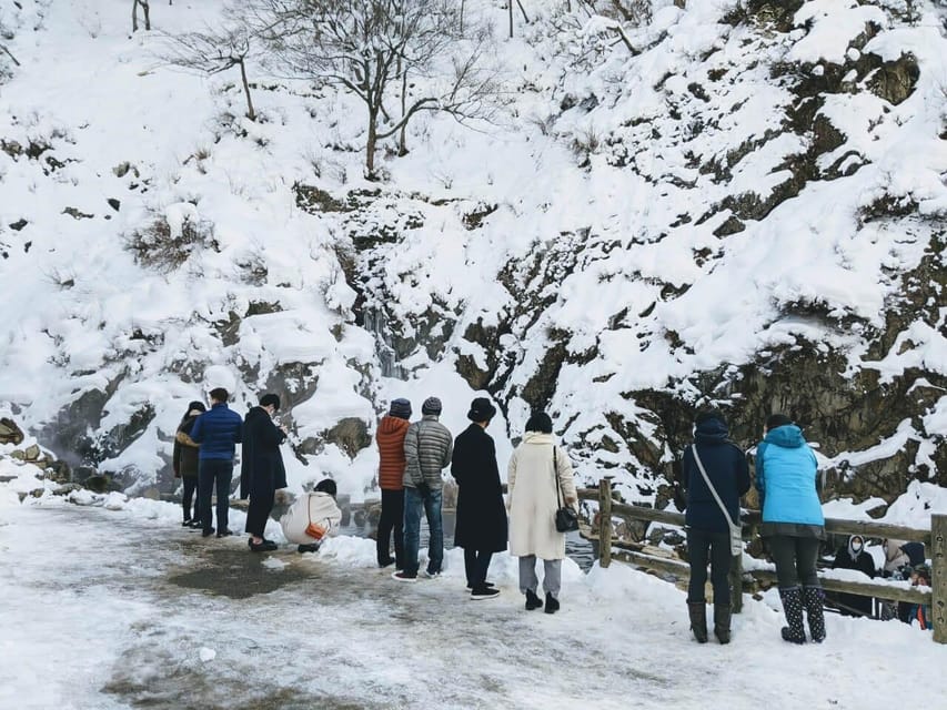 From Nozawa Onsen: Snow Monkeys and Zenko-ji Day Trip & Sake - Who should book this winter day trip?