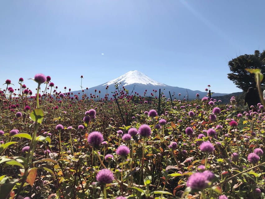 From Tokyo: Mount Fuji, Cruise and Sake Tour - Who should book this Mount Fuji tour