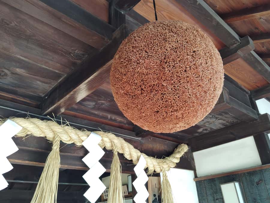 Kobe: 3-Hour Sake Breweries Tour with Special Tasting - The guides turn technical details into a good afternoon