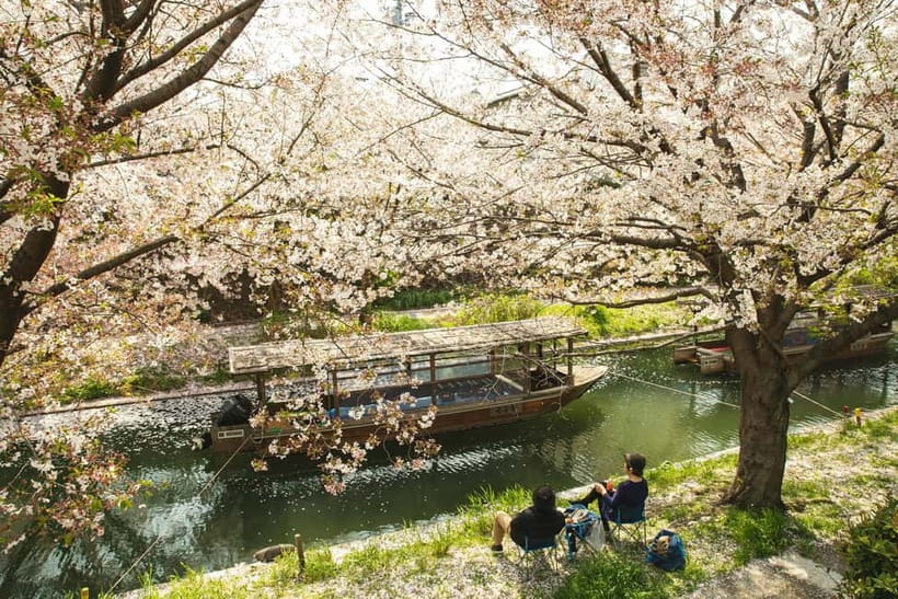 Kyoto: Fushimi Sake District Tour with Boat Ride - Understanding sake at Gekkeikan Ōkura Sake Museum