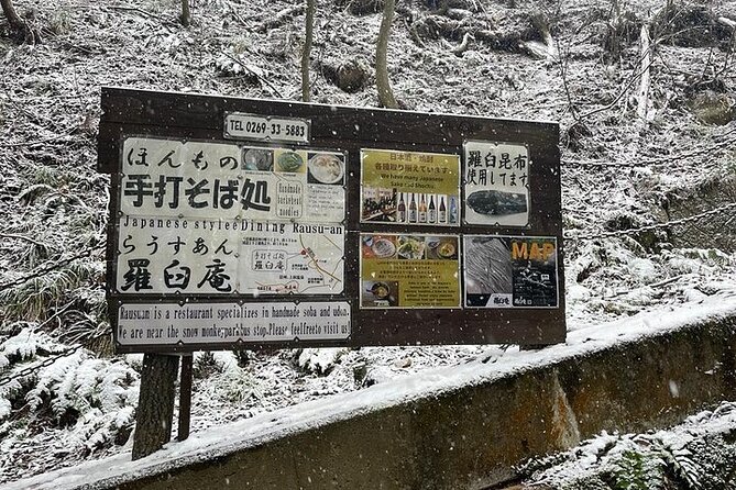 Nagano: Snow Monkey and Zenkoji Temple Free Sake Taste Day Tour - A big Nagano day that needs an honest look