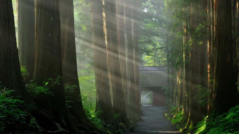 Nagano: Togakushi Shrine, Sake & Zenkoji Private Tour - Zenkoji and the underground passage