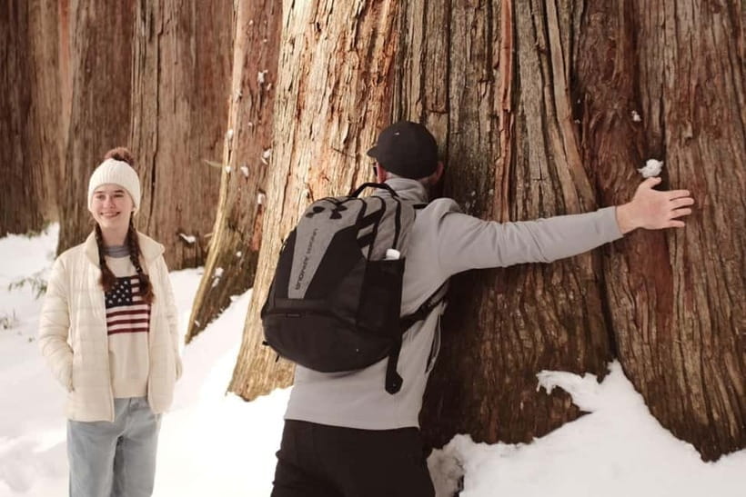 Nagano: Togakushi Shrine, Sake & Zenkoji Private Tour - Walking beneath Togakushi’s giant cedars