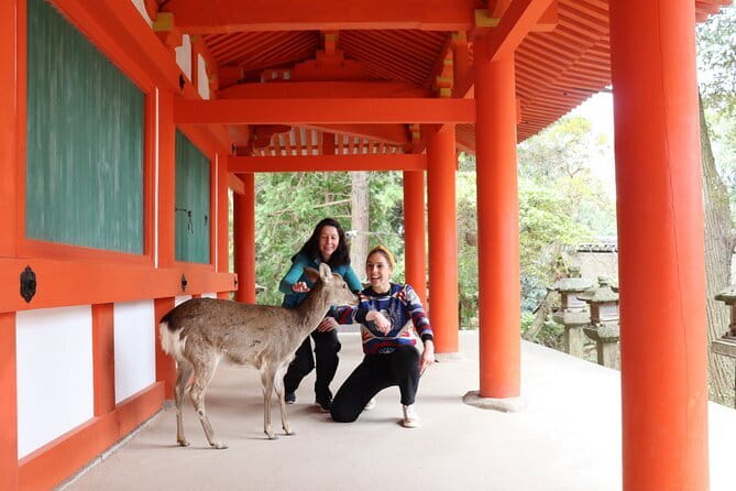 Nara Sake Tasting Tour at Local Brewerie(tasting fee included) - The guides make the difference