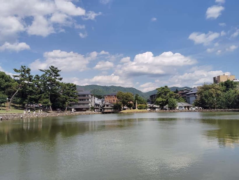 Nara: Sake Tasting Tour at the Birthplace of Japanese Sake - Guides who shape the experience