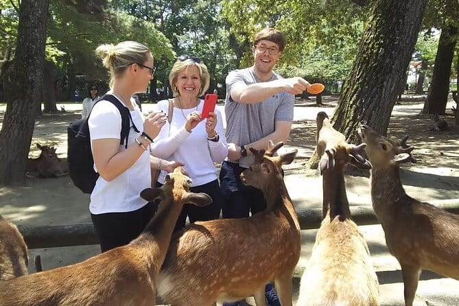 Private Nara Tour and Sake Tasting (Departing from Kyoto/Nara) - Nara Park and the deer encounter