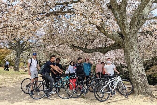 Private Nara Tour and Sake Tasting (Departing from Kyoto/Nara) - Harushika Brewery adds a taste of local Nara