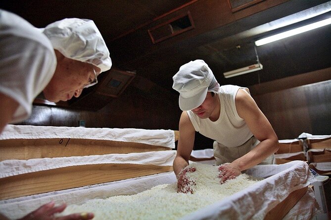 Private Sake Brewery Visit and Tasting Tour in Hida - Who will enjoy this most