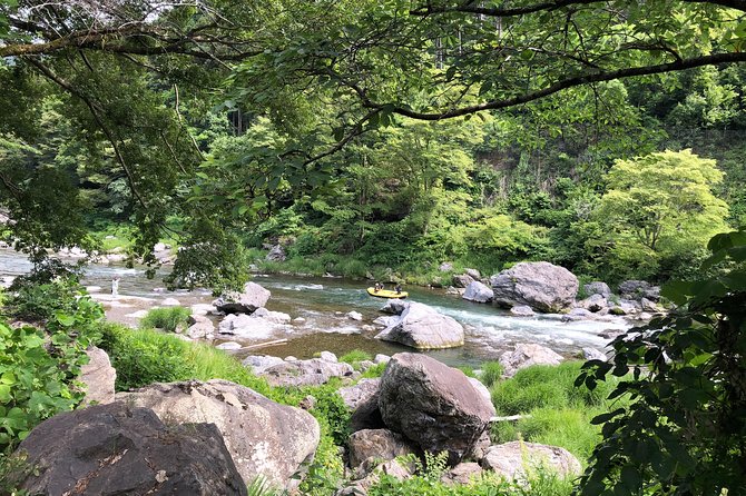 Private Tour: Tokyo's Oldest Sake Brewery and Riverside Walk - Is $229.95 a fair price?
