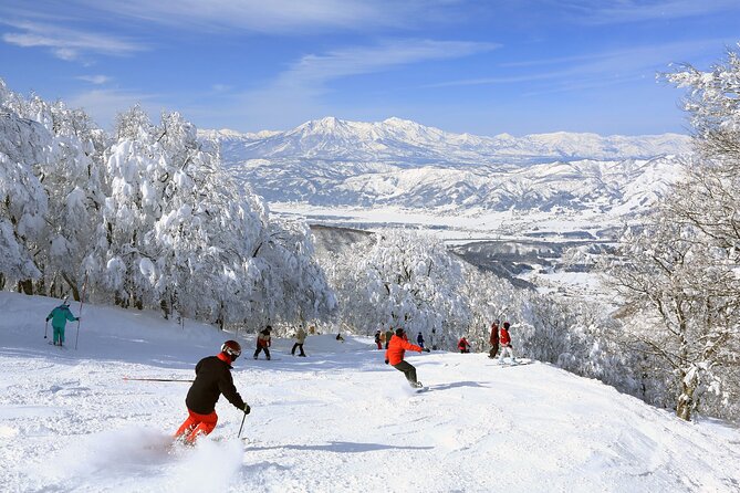 Snow Monkey, Zenko Ji Temple, Sake in Nagano Tour - A private route through Nagano’s best-known sights