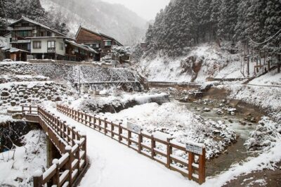 Snow Monkey, Zenko Ji Temple, Sake in Nagano Tour