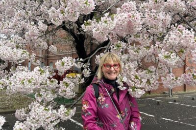 Serene Sakura & Sake: An Exclusive Brewery Pairing Lunch