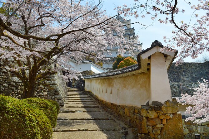 World Heritage Himeji Castle & Sake Breweries Private Tour - Who will get the most from this experience?